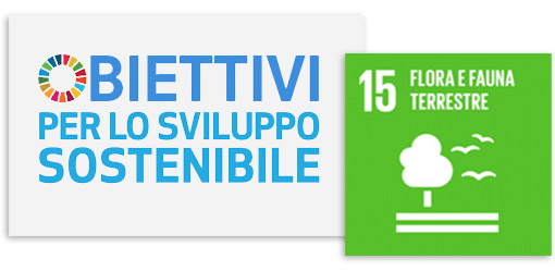 Obiettivi per lo sviluppo sostenibile Obiettivi per lo sviluppo sostenibile